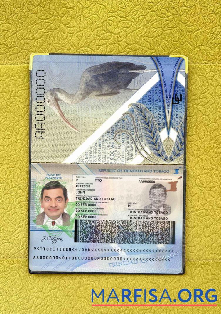 Blank Trinidad and Tobago passport photo look example